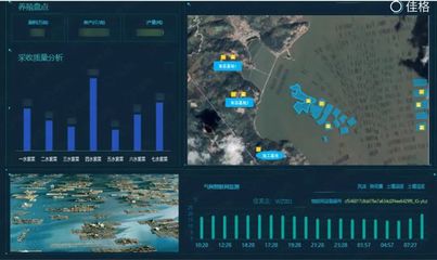 科技入海,大數據如何驅動漁業數字化發展?