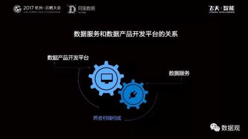 阿里數(shù)據(jù)服務產(chǎn)品開發(fā)及大數(shù)據(jù)體系 實錄 ppt干貨